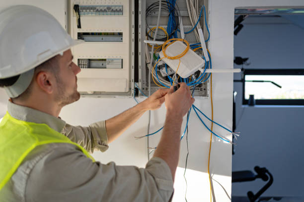 Best Electric Panel Repair  in Mount Pleasant, WI